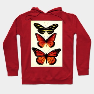 Zebra and Milkweed Butterflies, 1904 Hoodie